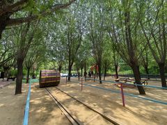 -西部长青自然儿童乐园