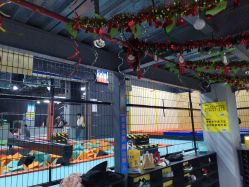 -蹦贝运动中心·蹦床·攀岩·闯关(龙岗店)