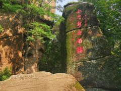-汤旺河林海奇石景区