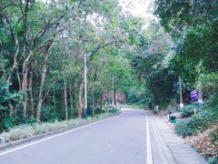 -火炉山森林公园