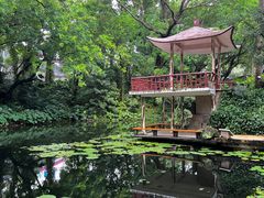 -广州兰圃