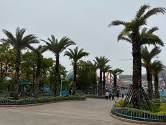 -上海海昌海洋公园