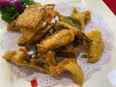 -寻味顺德·南记酒家·传统顺德菜·鱼生(广源路店)