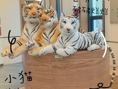 -横道河子东北虎林园