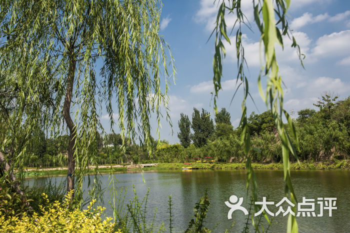 优河湾生态园景观位图片 - 第73张