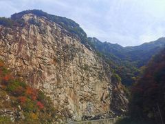 -王顺山国家森林公园