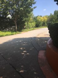 -酷酷兔少儿拓展天地