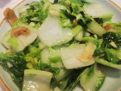 白菜苗-翡翠江南(国贸商城店)