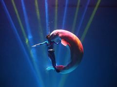 -芜湖新华联大白鲸海洋公园