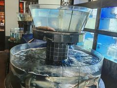 -宁波柏悦酒店·钱湖渔港