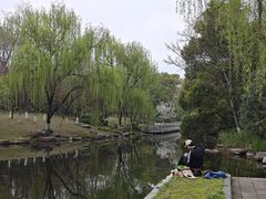 -日出青木