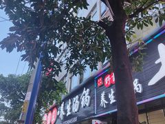 -野菌王•养生汤锅•野生菌火锅(大理漾濞路店)