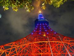 -东京塔海贼王主题公园