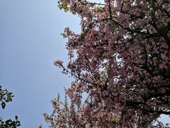 -花溪公园