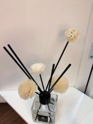 -苗塑堂减肥艾灸