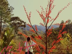 -清泉湾生态旅游度假区