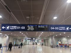 -合肥新桥国际机场-航站楼
