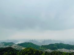 -大金鹰园