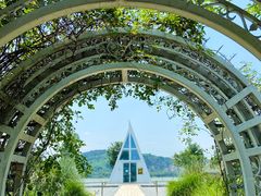 -西山漾湿地公园