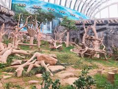 -石排湾郊野公园