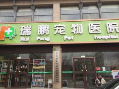 -瑞鹏宠物医院·内科·中兽医·骨科(苗圃店)