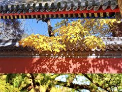 -沉浸北京·团建旅行·密室剧本杀·年会会议轰趴拓展