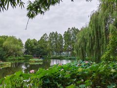 -金银湖国家城市湿地公园