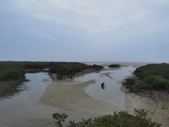 -北海金海湾红树林生态旅游区