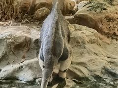 -长鹿旅游休博园