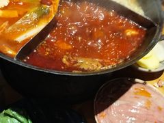 -白乐天毛肚火锅馆(南滨路店)