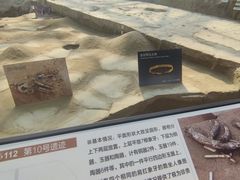 -金沙遗址博物馆