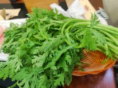 茼蒿-情忆草原涮肉馆