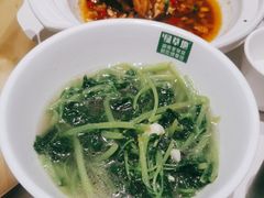 -绿草地·湘菜(芙蓉天街店)