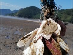 -小皓村