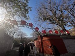 -闻道食府烙饼卷带鱼(原车耳营店原大觉寺店)