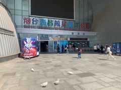 -烟台海昌鲸鲨海洋公园