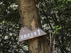 -午潮山国家森林公园