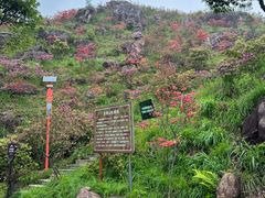 -玉苍山国家森林公园
