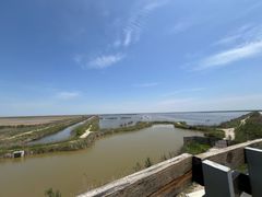 -盐城丹顶鹤湿地生态旅游区