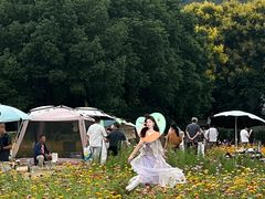 -长广溪湿地公园