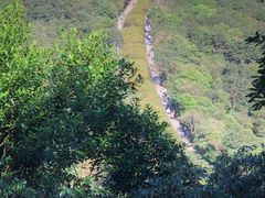 -梧桐山风景名胜区