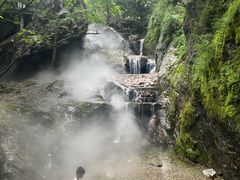 -牛背梁国家森林公园