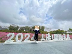 -春花秋色城市公园