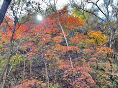 -玉渡山自然风景区