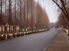 -太阳岛度假酒店