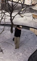 -Hair Code芭曲发型