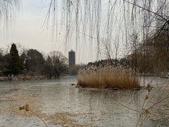 -北京大学赛克勒考古与艺术博物馆