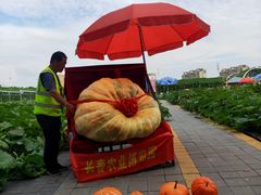 -长春农博园