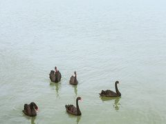 -天津东丽湖风景区