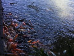 -珠海圆明新园